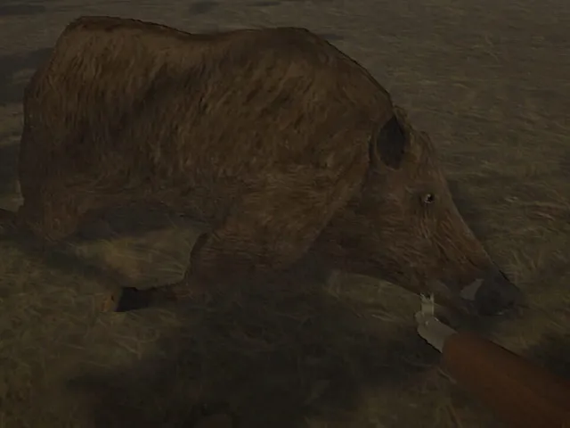 Hog Hunter 2021