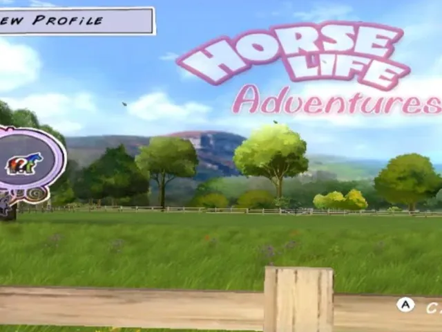 Horse Life Adventures