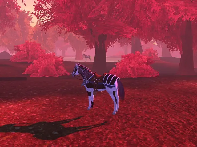 Horse Spirit Valley