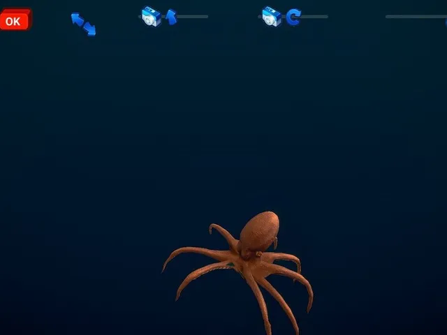 How Much Items: Fishes