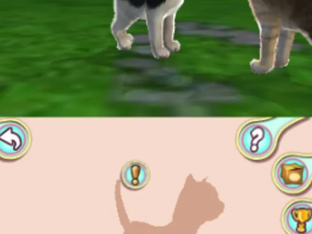 I Love my Cats