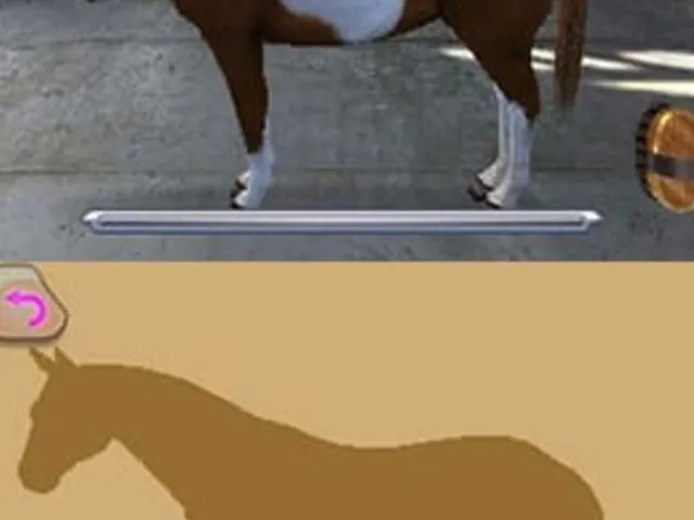 I Love my Horse