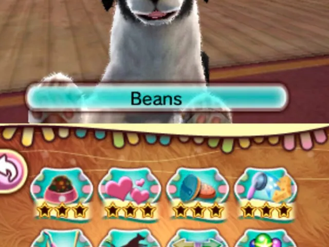 I Love My Pets