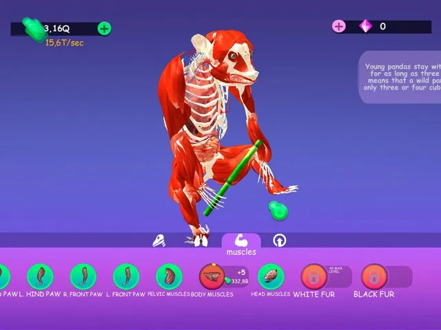 Idle Animal Anatomy