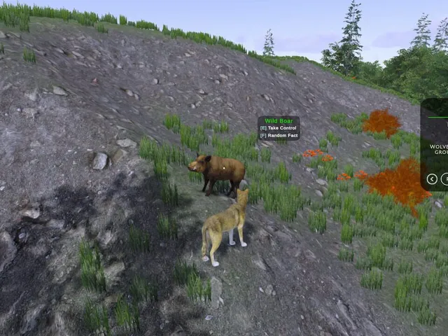 In the Wild