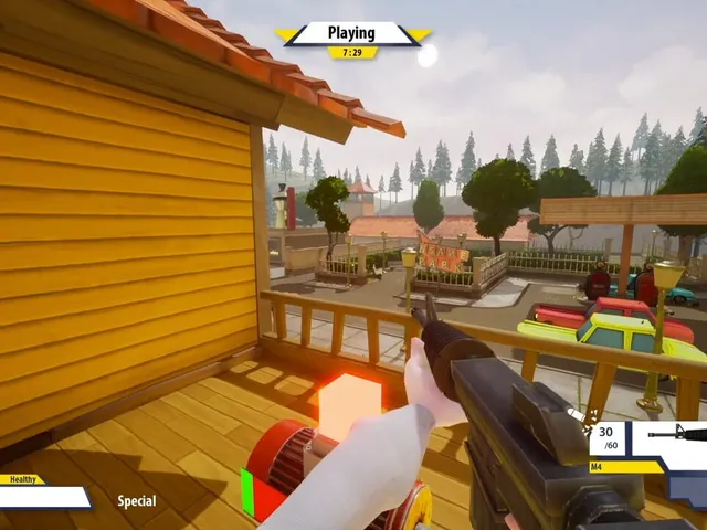 Insane Town