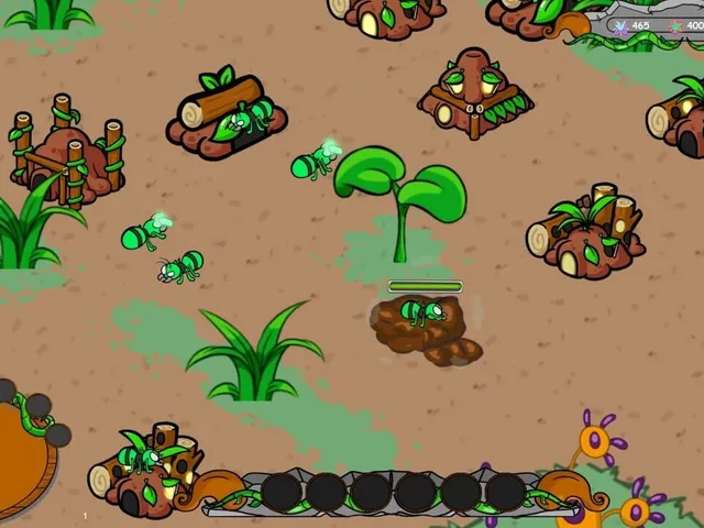 Insect Empires