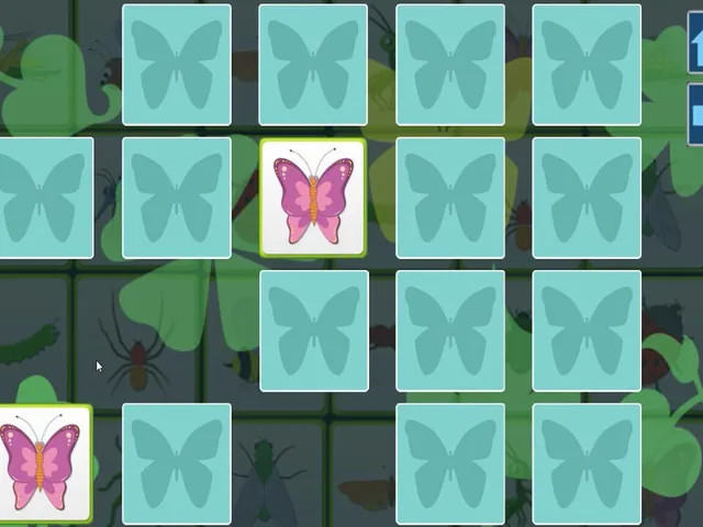 Insects