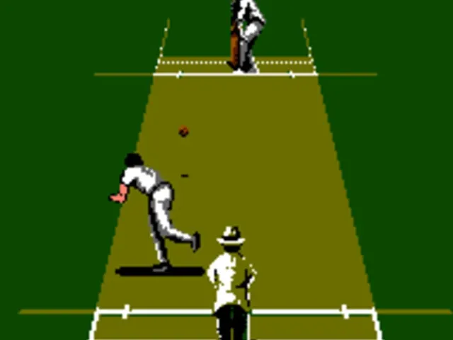 International Cricket