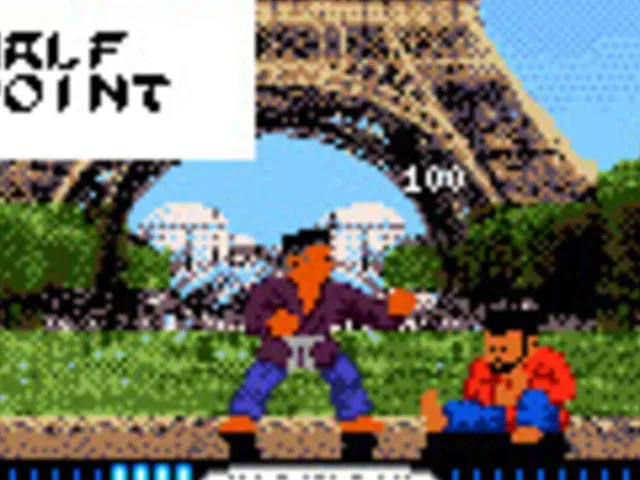 International Karate 2000