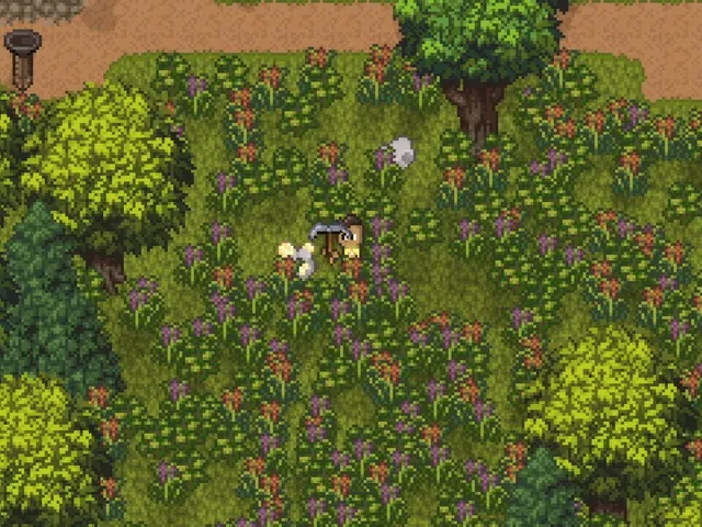 Island Berry