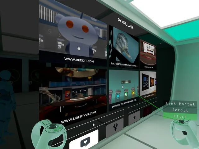 Janus VR