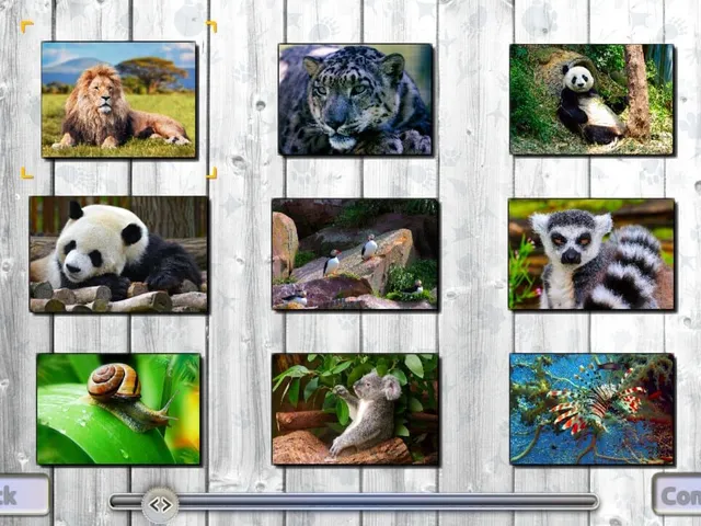 Jigsaw Fun 3-in-1 Collection