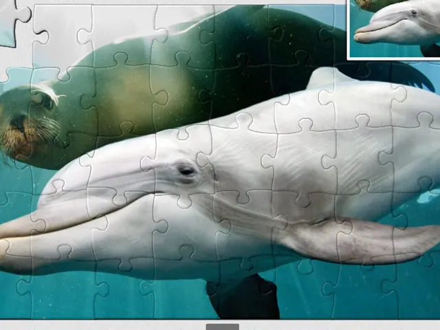 Jigsaw Puzzle: Beach Season 2
