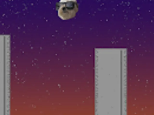 Jumpy Dog