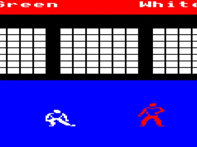 Karate Warrior