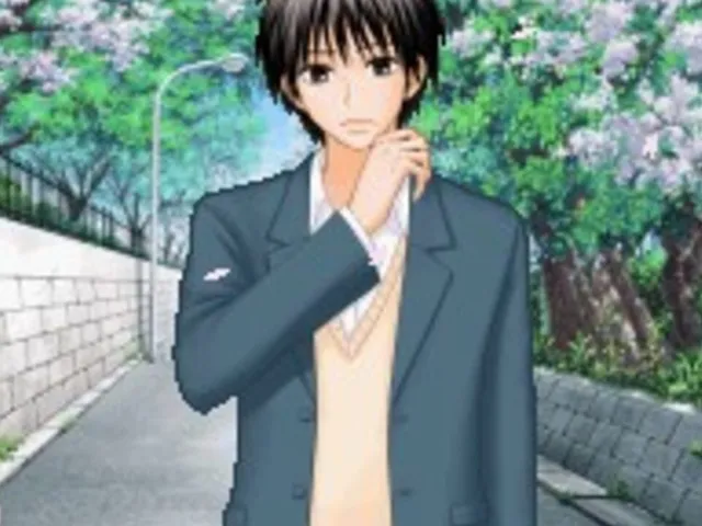 Kimi ni Todoke: Sodateru Omoi