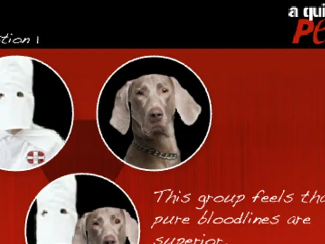 KKK or AKC? A Quiz by PETA