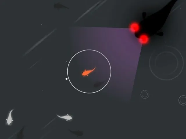 Koi DX