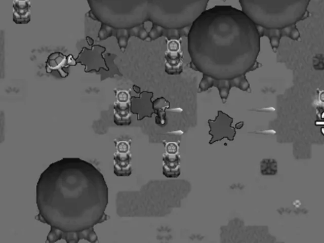 Koopa Troopa Forest