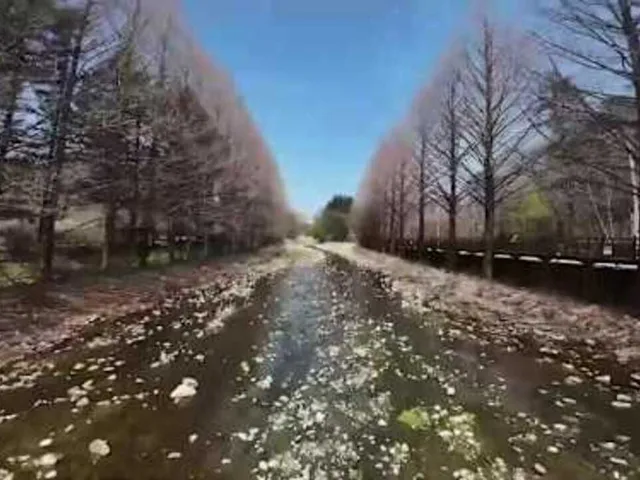 Korean Drone Flying Tour Pocheon-si