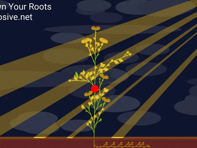 Lay Down Your Roots