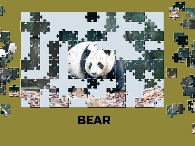 Learning jigsaw: Animals