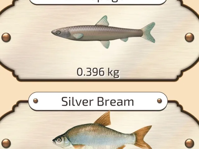 Let's Fish
