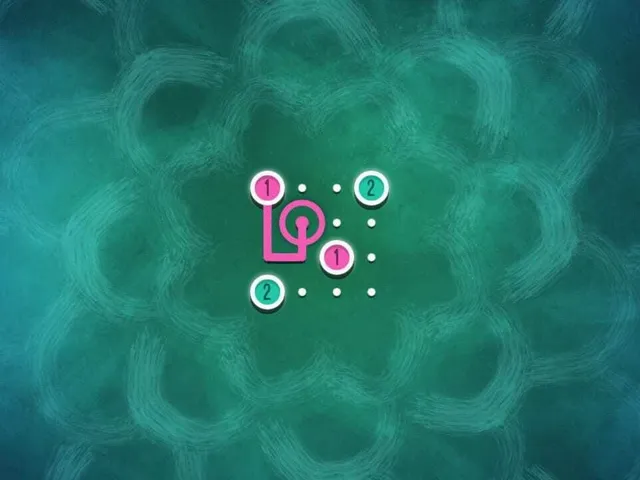 Lines XL