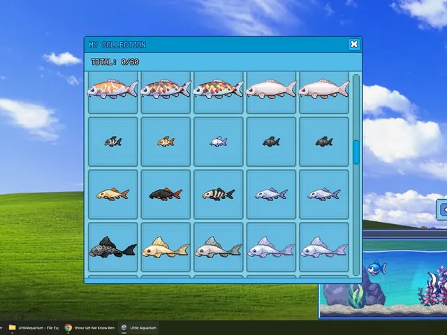 Little Aquarium