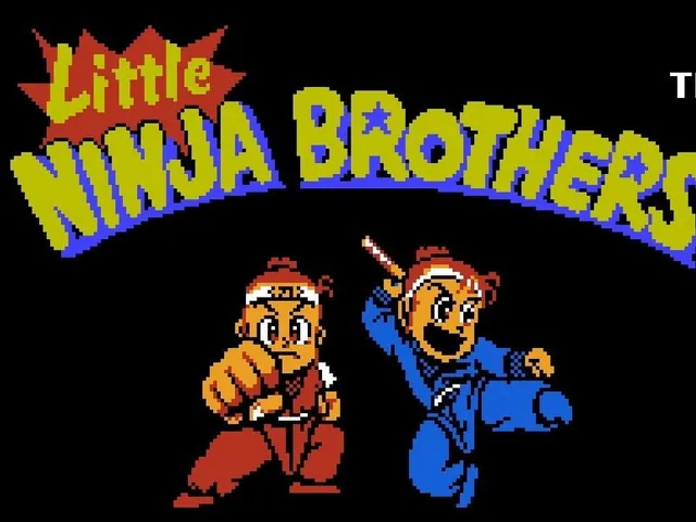 Little Ninja Brothers