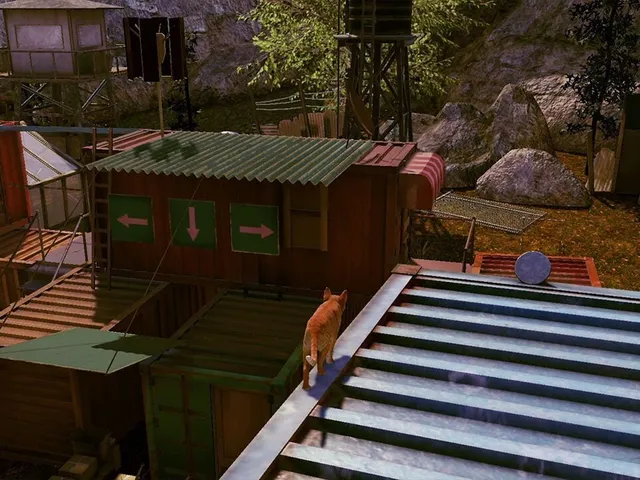 Little Strays 2
