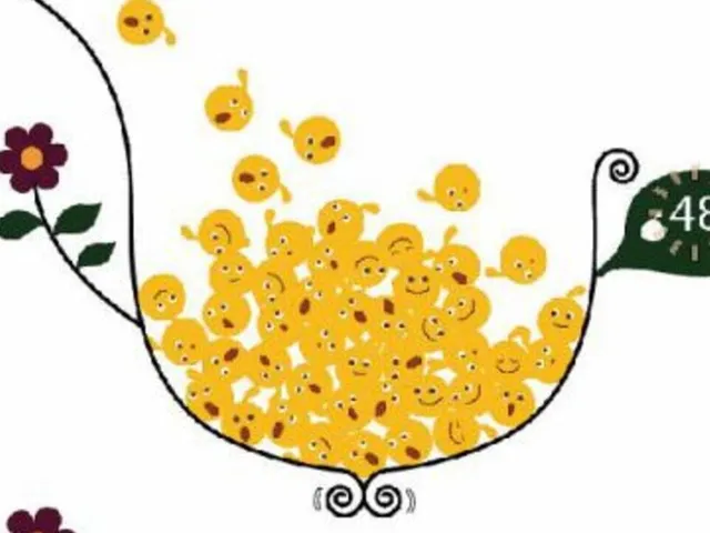 LocoRoco Cocoreccho