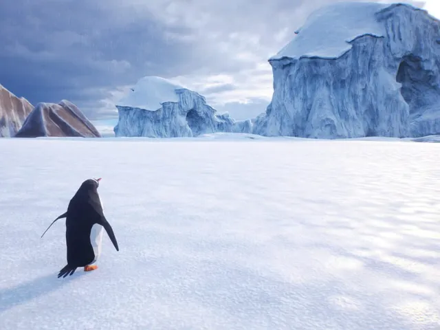 Lonely Penguin