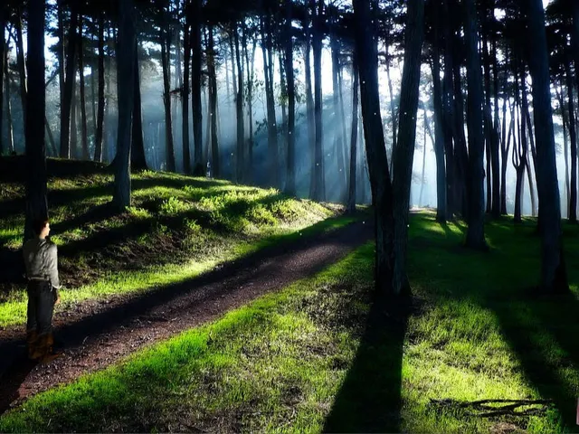 Lost in Paradise