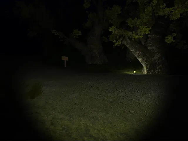 Lost in Terra Mora
