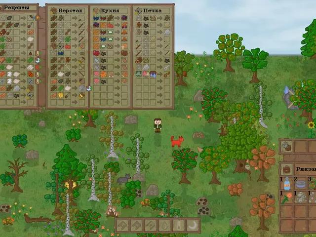 Lost In Woods 2