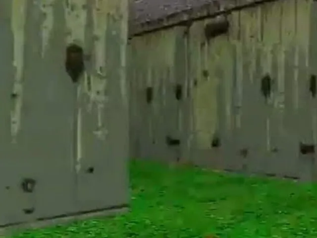 Lostboy.exe