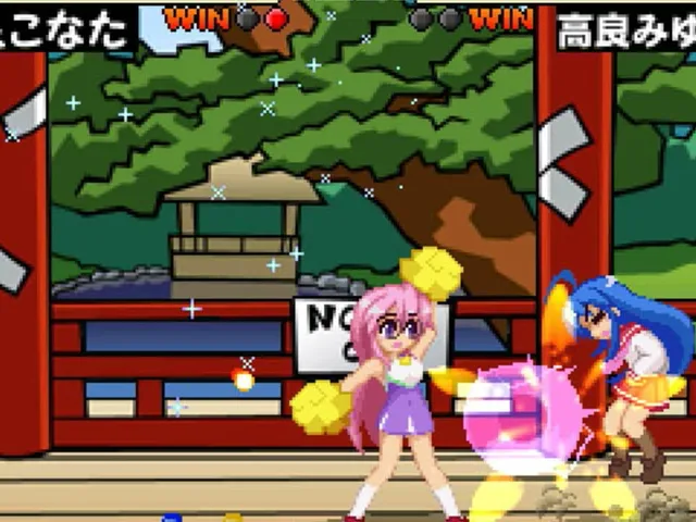 Lucky Fighter II