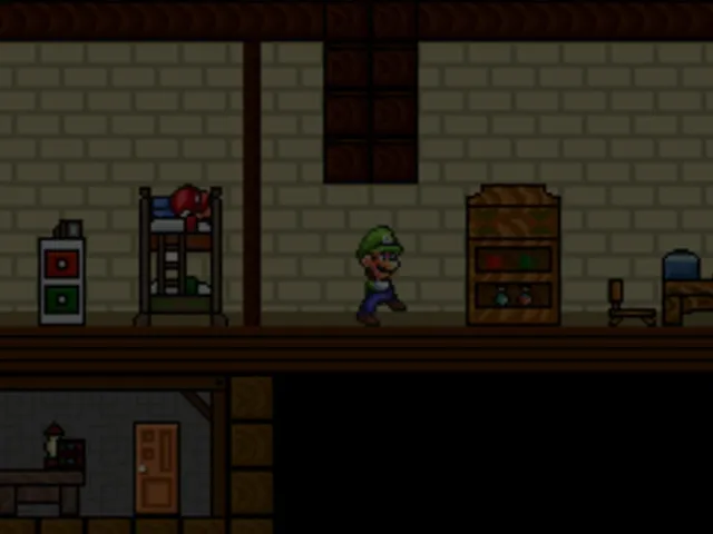 Luigi: Insanity
