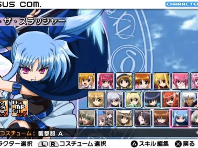 Magical Girl Lyrical Nanoha A's Portable: The Gears of Destiny