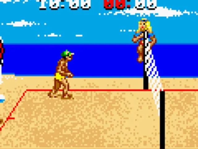 Malibu Bikini Volleyball