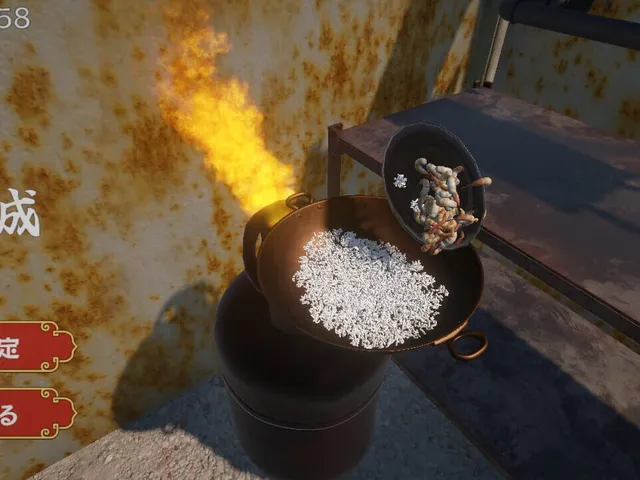 Master of Fried Rice