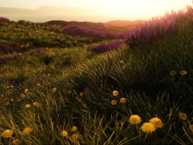 Mavericks: Proving Grounds