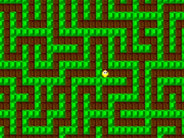 Maze