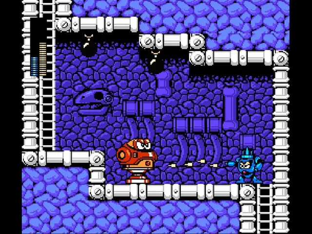 Mega Man: Day in the Limelight 2