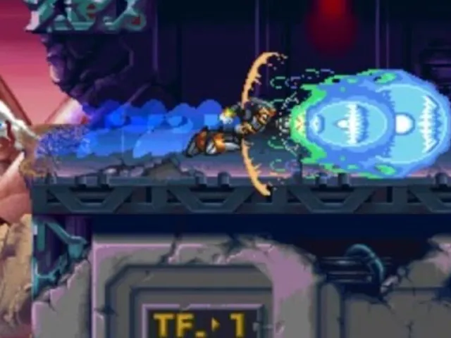 Mega Man X6