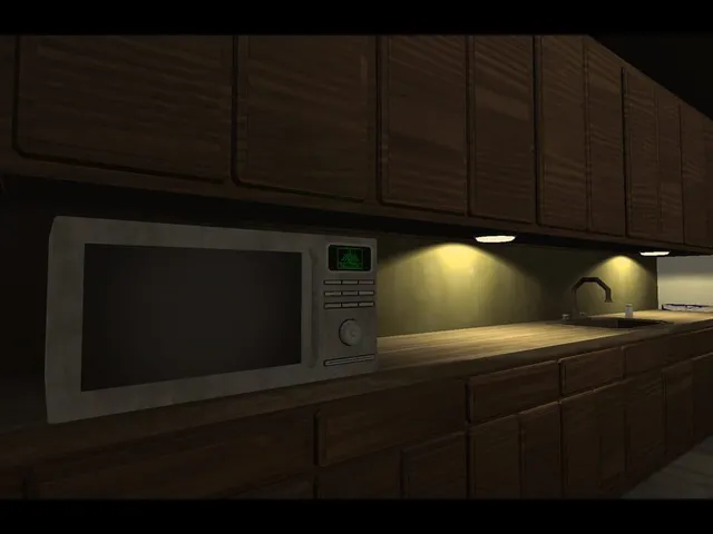 Microwave Yourself