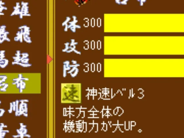 Mikuni Field Combat