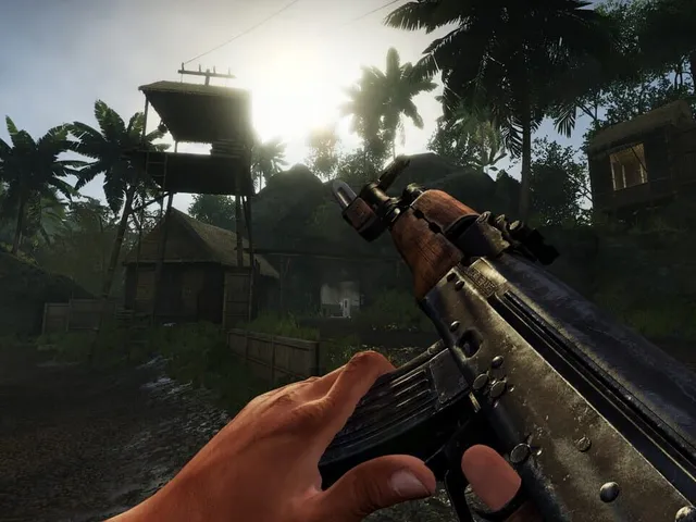 Military Conflict: Vietnam